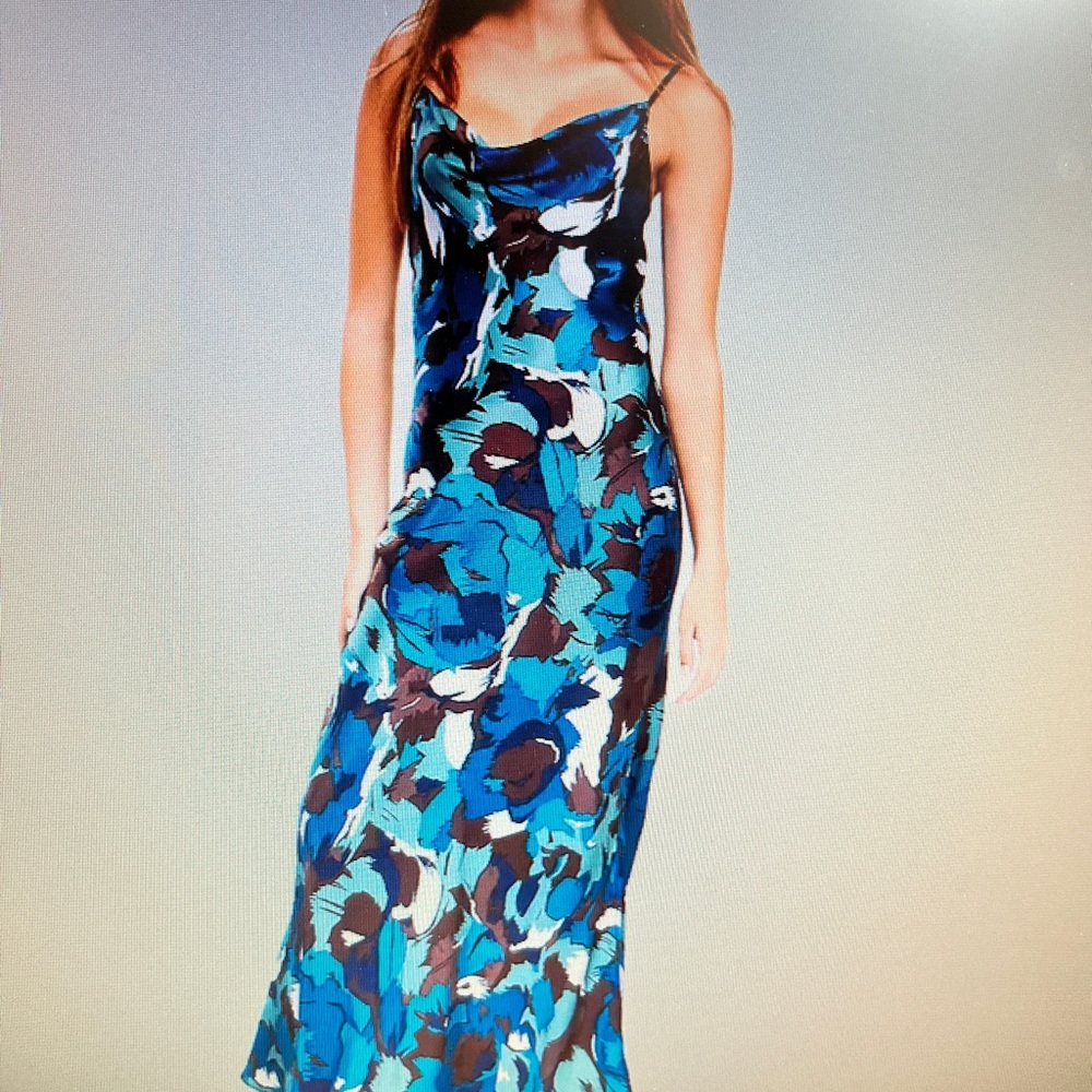 Blue Floral Women's Dress